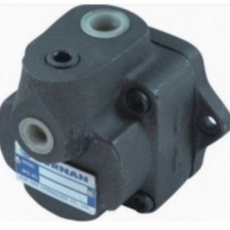 Máy bơm bánh răng thủy lực DS