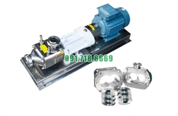Bơm trục vít đôi FSL-15-55 có lưu lượng 15 tấn/giờ