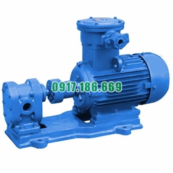 Máy bơm bánh răng 2CY4.2/25