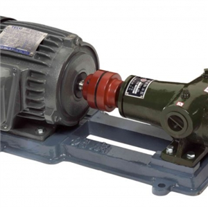 Máy bơm bánh răng Internal gear pump GG195
