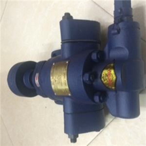 Máy bơm bánh răng KCB 55