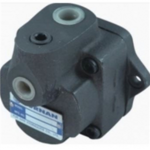 Máy bơm bánh răng thủy lực DS