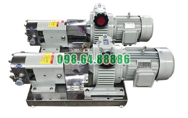 Máy bơm lobe 3RP-80 công suất 11 kW lưu lượng 24 m3/h tốc độ quay 500 vòng/phút