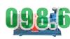 Bơm dầu truyền nhiệt RY